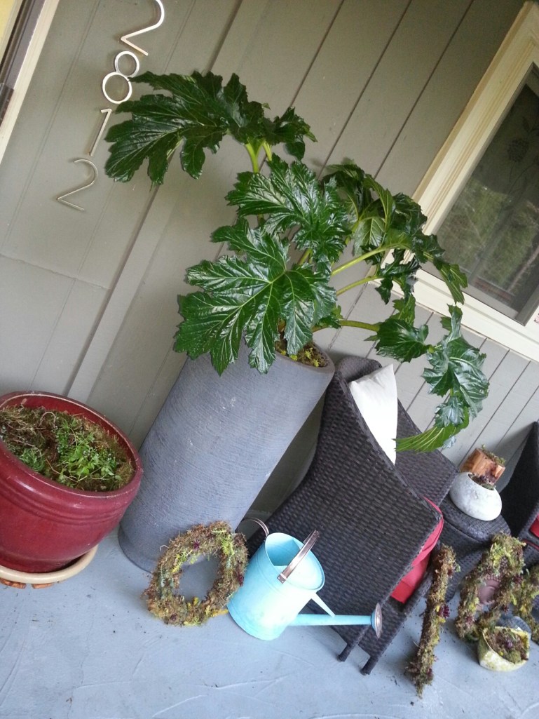 20130331_191835_resized