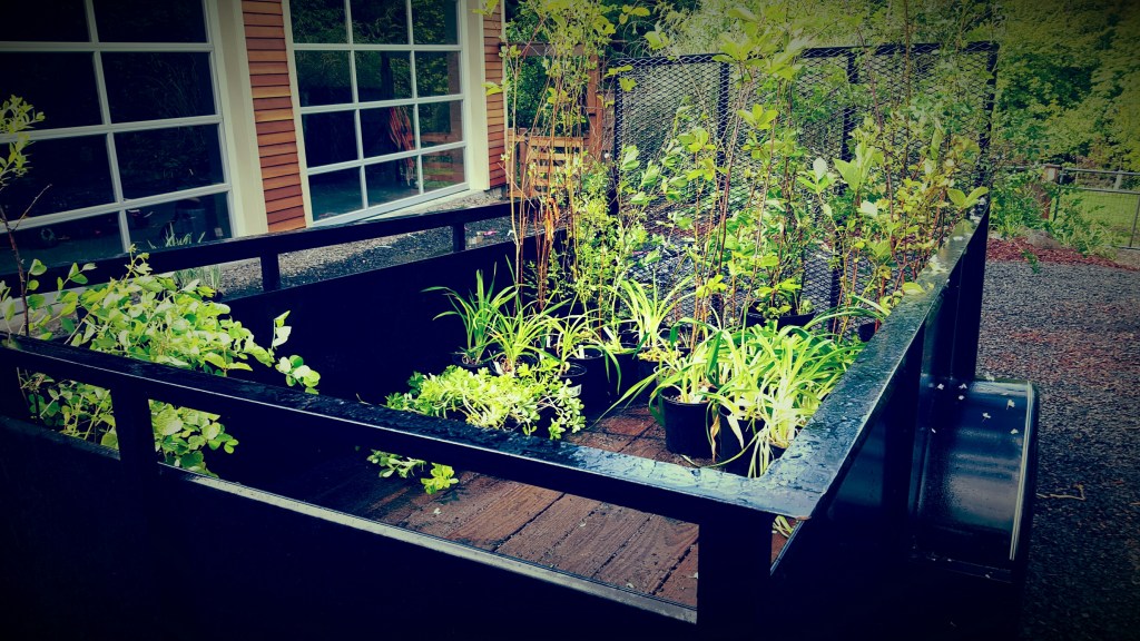 20160424_120910_resized